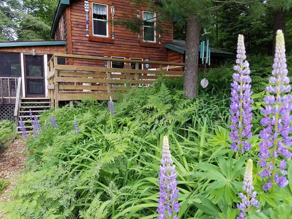 Echo Hill Long Lake Cabin